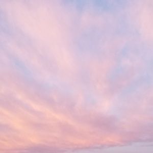 Meet your Posher, Naomi